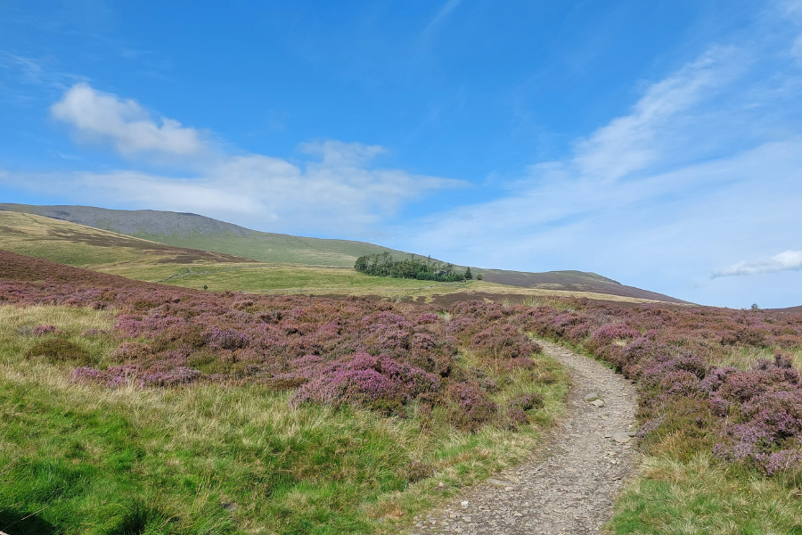 Skiddaw - Cumbria Wildlife Trust
