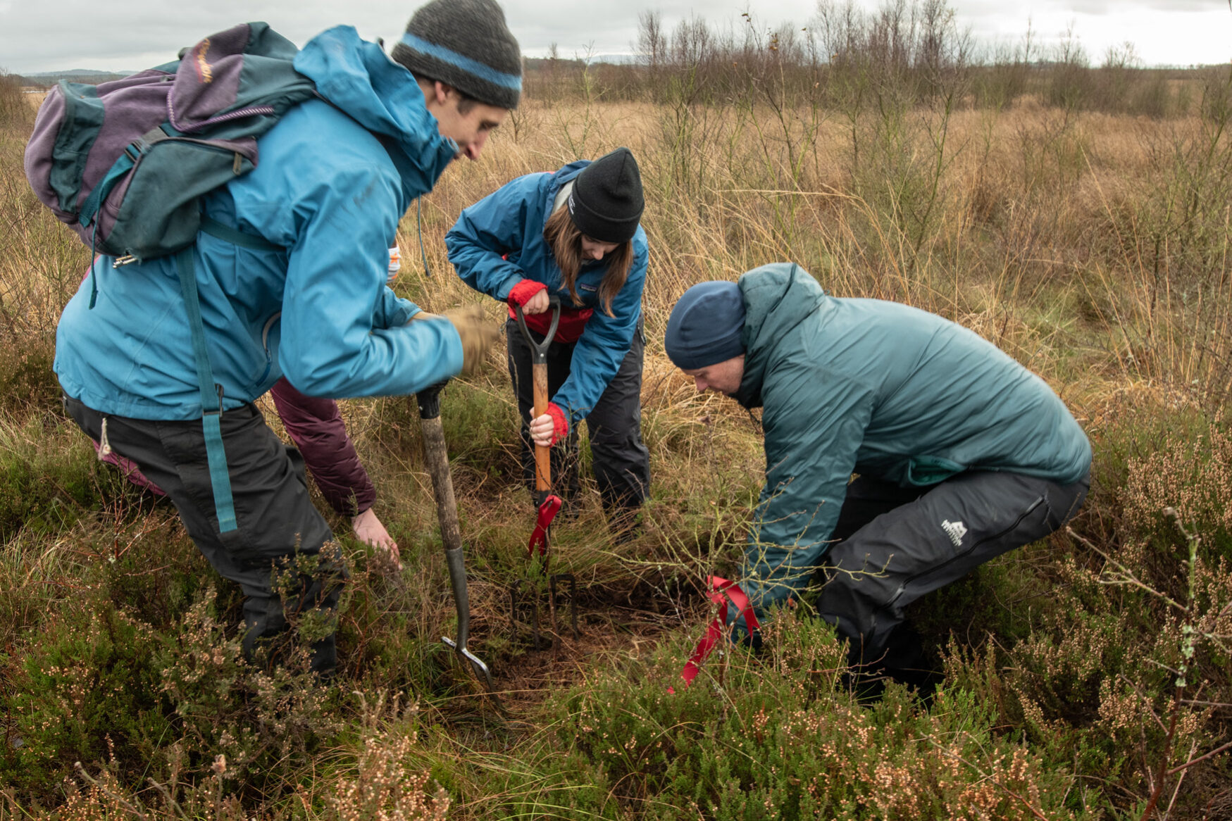 A group tackling the task of removing one of the birch trees, Resonance Project credit Rob Fraser